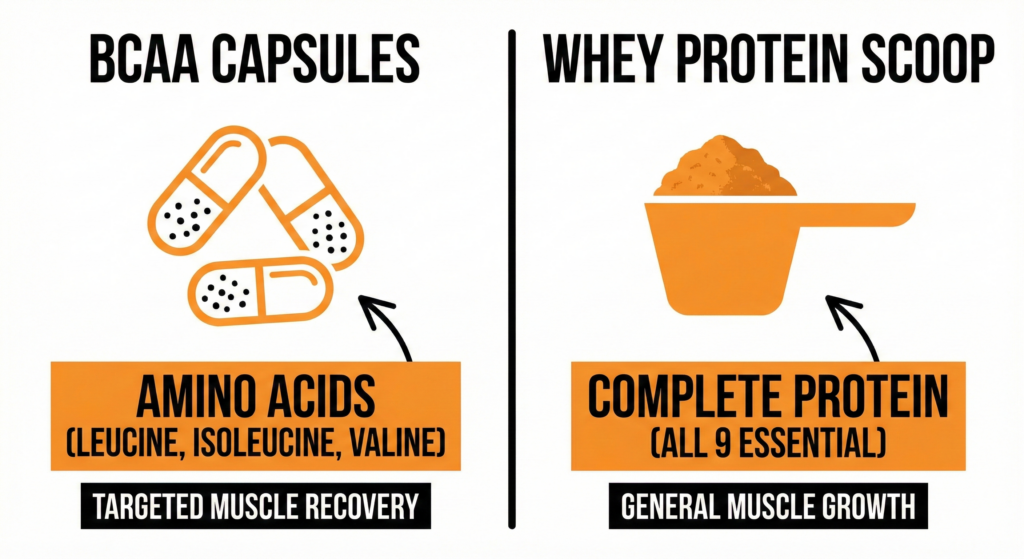 Comparação entre BCAA e whey protein